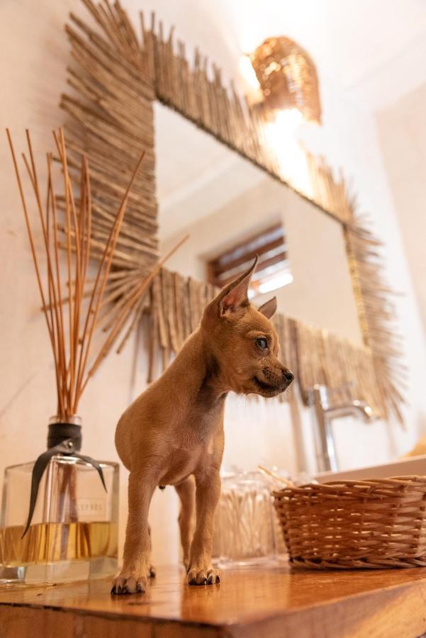 Gramercy Tulum Dış mekan fotoğraf